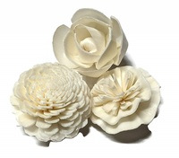 Sola Wood Flower diffuseur de roseau Parfum d'ambiance Fait à la main Sola Flower Echo Friendly Sola Flower Natural to aérer Freshen Reed