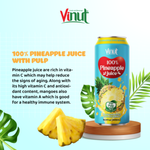 Vente chaude/16.9 FlOz 100% boisson de jus d'ananas tropical NFC avec pulpe/sans ajouter de sucre/échantillon gratuit - Product Image 2