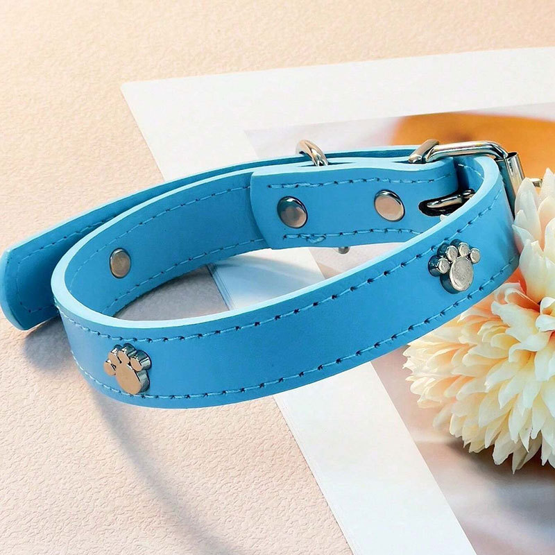 อุ้งเท้าพิมพ์สีฟ้าอ่อน