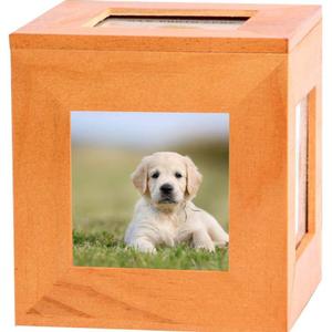 Urnes pour animaux de compagnie rectangle poli foncé urnes funéraires en bois royal meilleure vente pot de cendres d'animaux de compagnie de l'Inde - Product Image 1