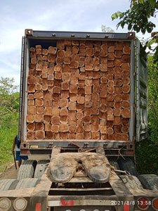 Material de troncos de madera de alta calidad que se vende como pasteles calientes troncos cuadrados de teca madera aserrada troncos de madera Timbe - Product Image 6