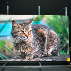 P0.7mm microled tường 0.7 trong nhà Rạp hát tại UHD micro <span class=keywords><strong>LED</strong></span> hiển thị gạch <span class=keywords><strong>LED</strong></span> Video tường - Product Image 2