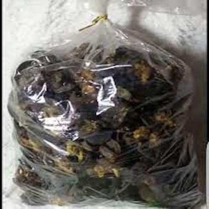 Carne de Concha de Reina Congelada Sin Concha, Mariscos al por Mayor de Francia con 24 Meses de Vida Útil - Product Image 4