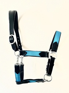 Haute qualité Durable personnalisé anglais selle cheval licou doux rembourré cuir Nylon Logo personnalisé divers modèles couleurs - Product Image 3