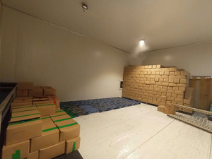 มะม่วงแช่แข็งเกรดสูงสำหรับอุตสาหกรรมของหวานและเครื่องดื่มผู้จัดจำหน่ายจากเวียดนามขายส่งแช่แข็งมะม่วง - Product Image 4