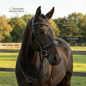 Bridon anglais réglable pour chevaux, cuir noir de haute qualité avec muserolle rembourrée et frontal en cristal, couleurs personnalisables - Product Image 4