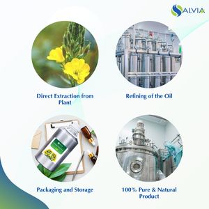 Venta al por mayor a granel Evening Prime Rose Aceite esencial 100% Puro y natural Embalaje personalizado Precio bajo - Product Image 4