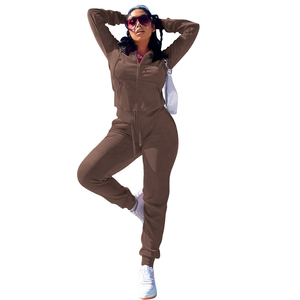 Nouveau automne hiver velours survêtement pour femmes à manches longues couleur unie sweats à capuche Jogging costume deux pièces pantalon ensemble 2025 - Product Image 2