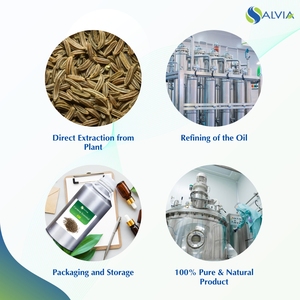 100% Pure and Natural Caraway <b>Essential</b> <b>Oil</b> Wholesale Bulk with Customized Packaging Low Price - Product Image 4