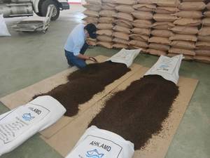 PIMIENTA NEGRA 500GL 550GL Vietnam seco Pham Gia - Product Image 2