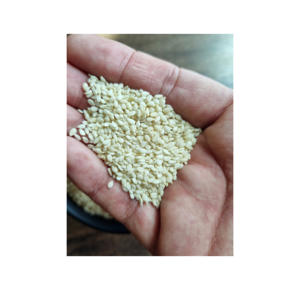 เมล็ดงาขาวออร์แกนิก คุณภาพพรีเมียม บริสุทธิ์ 100% เป็นธรรมชาติ ปลอดภัยต่อสิ่งแวดล้อม ปริมาณน้ำมันสูง สำหรับส่งออก - Product Image 1