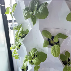 Sistemas Hidropónicos Llave en Mano y Torres Aeropónicas para Granjas Verticales, Soluciones Completas para Cultivo Interior en Todo el Mundo - Product Image 4