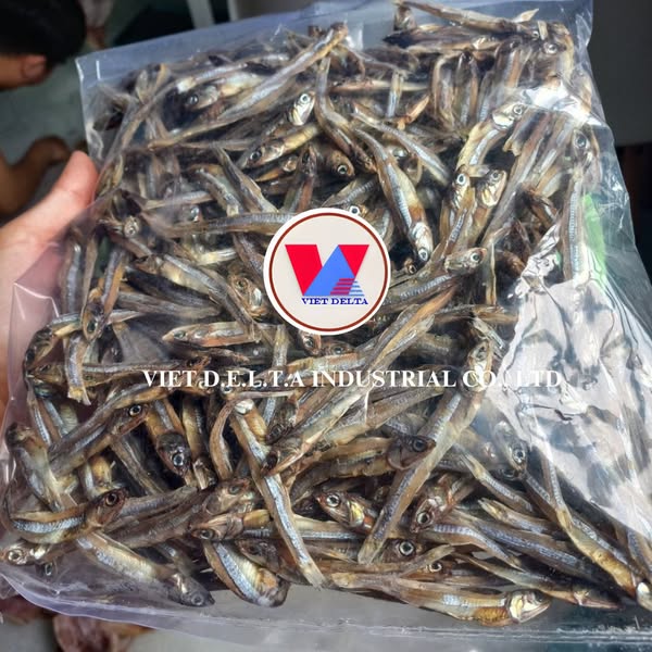 PREMIUM DRIED ANCHOVY CLEAN LABEL RICH IN PROTEIN CALCIUM NATURAL SEAFOOD SNACK