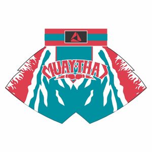 Personalizable de alta calidad Satén Muay Thai Shorts Stretch Boxing Fighting Kickboxing MMA Shorts para hombres y mujeres - Product Image 5