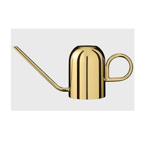 Arrosoir en métal à long bec en acier inoxydable pour plantes d'extérieur et d'intérieur, arrosoir vintage - Product Image 6