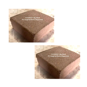 Cocopeat issu de poudre de fibre de noix de coco, transformé en substrat pour pépinières, mélanges de sol et systèmes hydroponiques. - Product Image 3