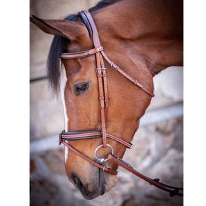 Bride anatomique pour dressage Western Hunter Walking Haffle and Headstall in Leather Horse Halter Style - Product Image 1