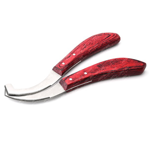 Số lượng lớn ngựa xa công cụ Bot trứng dao botfly Remover scraper công cụ chống gỉ sắc nét cạnh cong lưỡi ngựa dụng cụ - Product Image 1