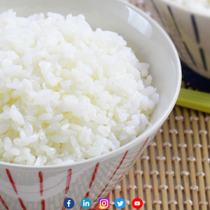 5% ARROZ JAPONICA DE ALTA CALIDAD ROTO PARA HACER ARROZ SUSHI DE VIETNAM TRACY CAO 84 969 800 854 - Product Image 5