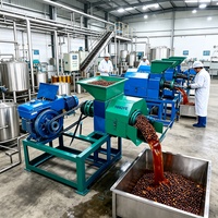 1TPH Palmoliepersmachinefabriek voor de extractie van rode olie uit vers palmvruchtvlees