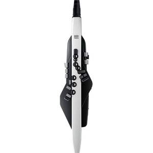 NUEVO EN OFERTA: Instrumento de viento digital Roland Aerophone AE-20/AE-10G - Product Image 1