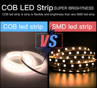 Bande LED Super Lumineuse Extérieure Étanche Flexible pour Plafond, Haute Tension 220V IP65 2700K Blanc Chaud Doux, PVC pour Parc Thématique