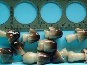 Champignons de paille en conserve de qualité prêts à l'emploi pour la cuisson de légumes nutritifs et délicieux pour les repas de famille Approvisionnement en gros - Product Image 6