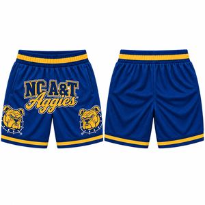 Shorts de basketball personnalisés en mesh avec logo de mascotte, style streetwear universitaire, marque privée, vente en gros, fabricant OEM - Product Image 2