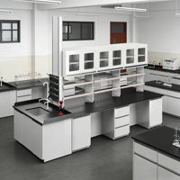 Meuble de laboratoire central pour hôpital et école, îlot de travail pour tests chimiques, surface en acier, design moderne, usage commercial