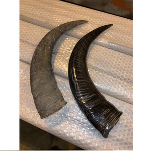 Friandises à mâcher en corne de buffle naturelle pour chiens, nettoyage des dents sain pour animaux de compagnie, sans odeur et durables par Falak World Export - Product Image 1