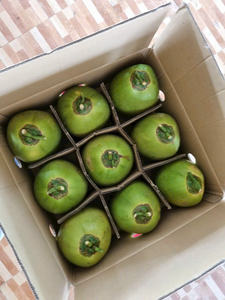 Coco joven fresco para preparar bebidas refrescantes tradicionales y platos de frutas, disponible en cantidades al por mayor para compradores globales. - Product Image 5