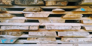 Blackheart Sassafras Troncos para muebles Blackheart Sassafras Lumber Log Supply - Product Image 4