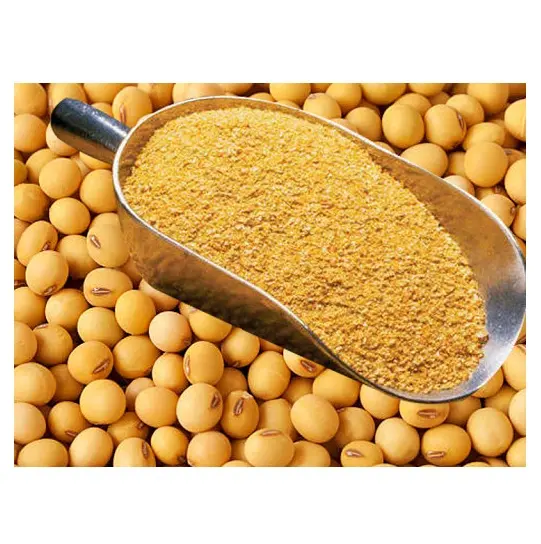 Alimentation animale à haute teneur en protéines source NON OGM Soja/Soja/tourteau de soja prix d'usine