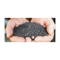 Graines de canola proposées à des prix compétitifs en vrac pour le commerce mondial