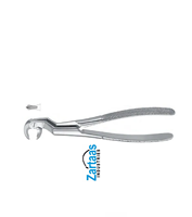 Pince d'extraction en acier inoxydable de haute qualité ROUTURIER molaires inférieures et sagesse droite fig 213 exportateurs et fabricant