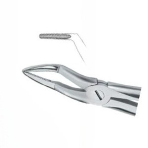 Forceps d'extraction de dents Fig.51 A Diam Instruments dentaires en acier inoxydable de haute qualité avec logo personnalisé de haute qualité - Product Image 3