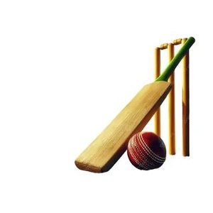 ผลิตภัณฑ์คริกเก็ต/ตอจิ้งหรีดพร้อมฐานไม้ - Product Image 5