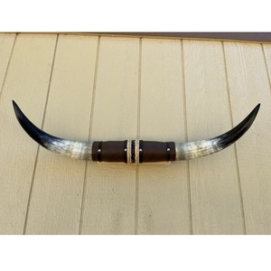 Decoración Rústica Hecha a Mano, Ecológica, de Cuerno de Buey Natural Pulido para Montar en la Pared, Estilo Granja - Product Image 2