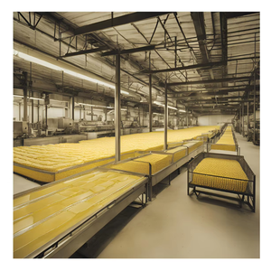 Sustituto de aceites de mantequilla a base de Palma bajos en grasa hechos en Malasia envasados en cajas - Product Image 1