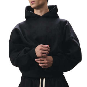 Sweat à capuche en coton épais pour hommes 500 g/m² d'hiver écologique de haute qualité avec logo personnalisé French Terry - Product Image 1