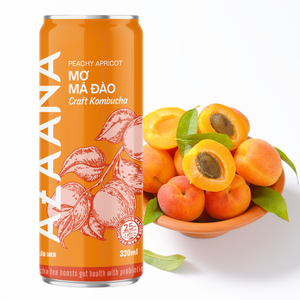 Peachy apricot Kombucha เครื่องดื่มชาเพื่อสุขภาพที่ดีทางเลือกในการดำเนินชีวิตที่มีสุขภาพดีทุกวัน - Product Image 4