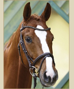 Magic Tack Snaffle Bridle Horse Leather Brida Mejor calidad disponible color negro y marrón - Product Image 3