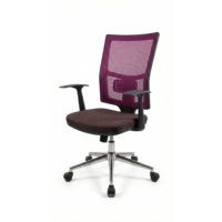 Nouvelle Tendance Chaise de Bureau Ergonomique Liza en Tissu avec Dossier en Maille, Base en Nylon, Réglable en Hauteur par Vérin à Gaz, Pivotante, Soutien Lombaire, Idéale pour Hôtels