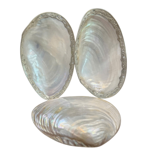 Services à vaisselle authentiques en nacre : Assiettes en coquillage polies à la main de haute qualité, accents de décoration intérieure de luxe durables - Product Image 6