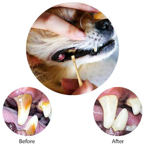 Alemán de acero inoxidable Dental escalar recubierto de oro de doble extremo profesional Dental Limpieza de dientes raspador de dientes para Dental - Product Image 4