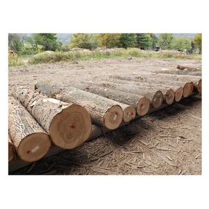 Leña de madera dura mixta, perfecta para exportación mundial, seca en horno, 100% natural, embalaje personalizado para pedidos al por mayor - Product Image 3