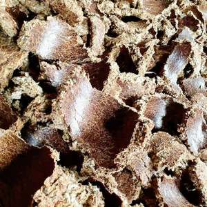 Gros en gros de tourteaux de graines de coton de qualité supérieure pour poissons et bovins – Variété incluant la farine de graines de coton à vendre - Product Image 1