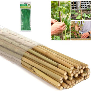 Poteaux de bambou Naturel et Poteaux de bambou en gros du fabricant Eco2go Vietnam - Product Image 1