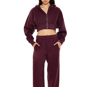 Sudadera con capucha de algodón cuadrado de gran tamaño para mujer, ropa de calle de invierno, sudadera recortada con hombro caído y logotipo personalizado de peso pesado - Product Image 3