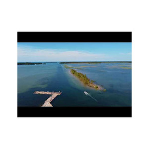 Beech <b>Logs</b> <b>for</b> Furniture Making and Building <b>Wooden</b> Structures Great Prices Available <b>for</b> <b>Sale</b> - Product Image 3